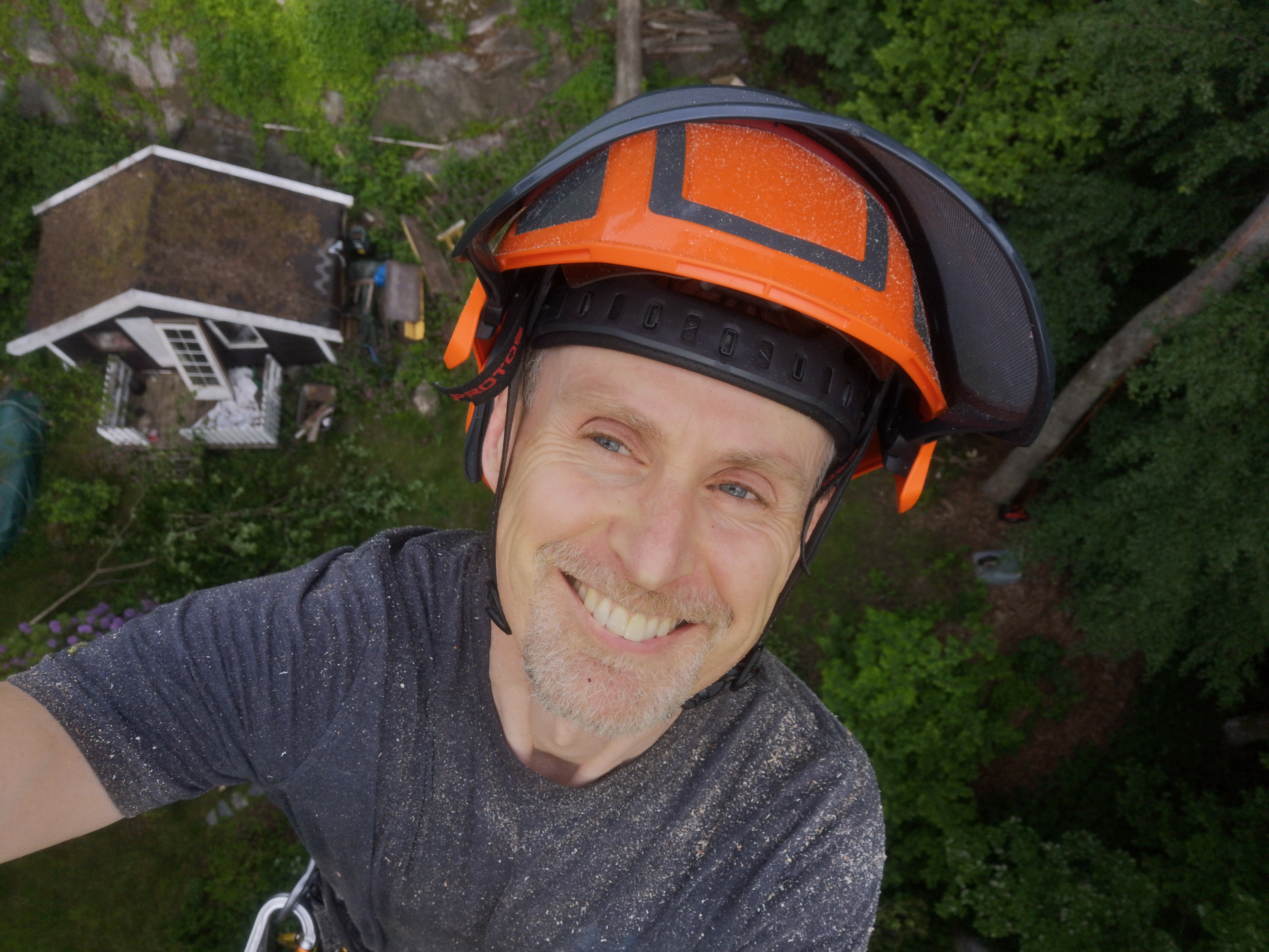 Lars Eirik Sivesind høyt oppe i et tre med sikkerhetshjelm