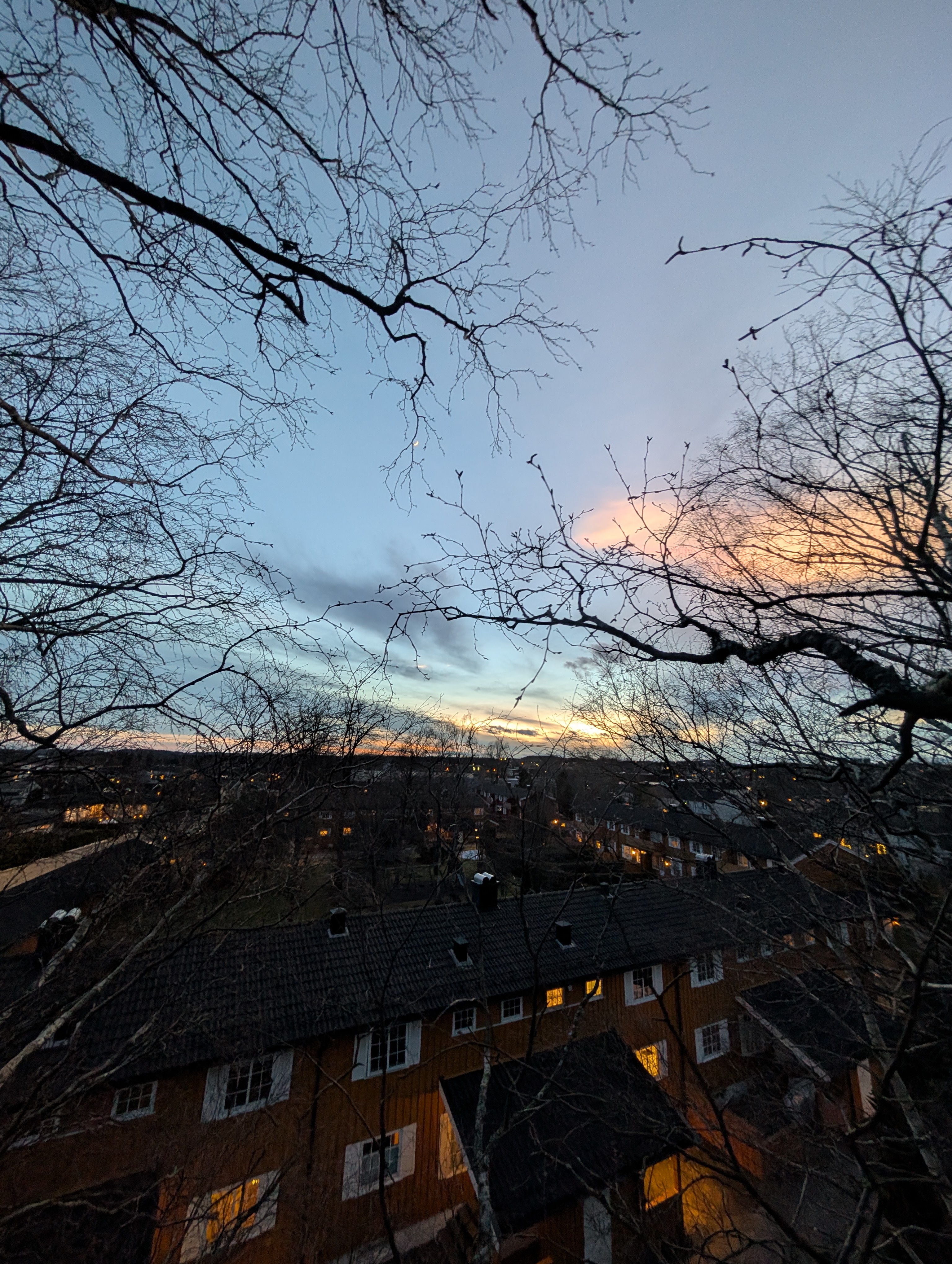 Utsikt fra treet i solnedgang